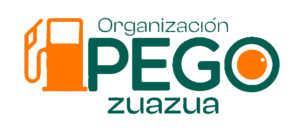 E14671 Organizacion Pego